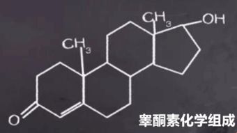 睾酮素，对身体有什么作用啊