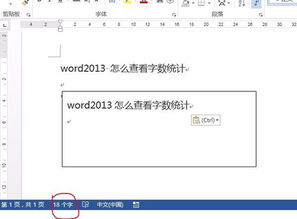 word2013怎么查看字数统计 