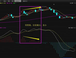 大盘何时才能重回6000点？期间还会有几次回调？分别是在多少点？