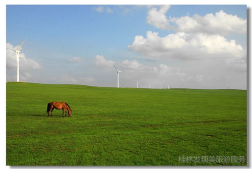 去内蒙旅游的最好季节和旅游时间 