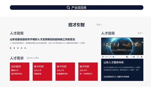 选择山东 云平台上线 项目人才智能匹配, 双招双引 永不落幕