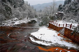 今年冬天雪上飞 上海周边附近滑雪场全攻略 北京周边滑雪场推荐 