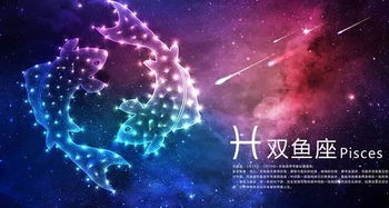 12星座分别适合学什么法律 处女座无敌了 