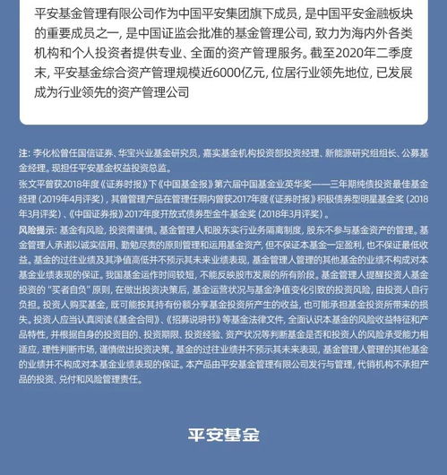 理财收益与风险相关的基金