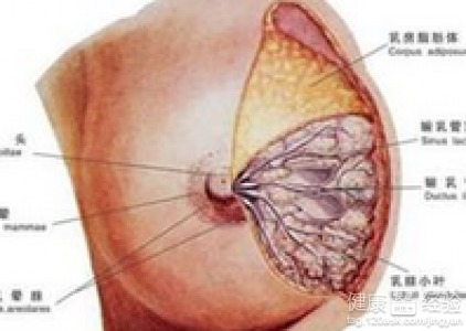 多个乳腺囊肿怎么能消除