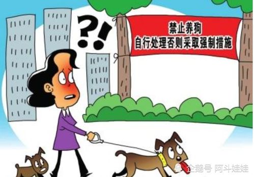 专家建议 小区内应禁止养狗,想养狗可以去农村