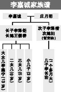 李嘉诚作出接班安排 四男丁继承资产 新生男孙有份 