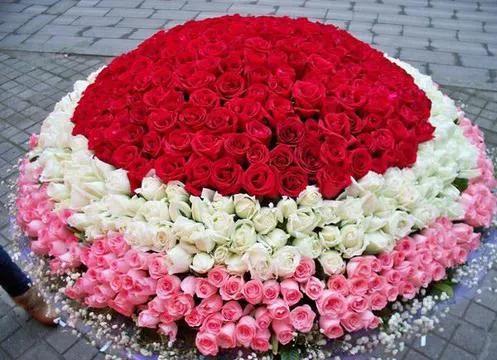漂亮的玫瑰花束,精美的手机图片