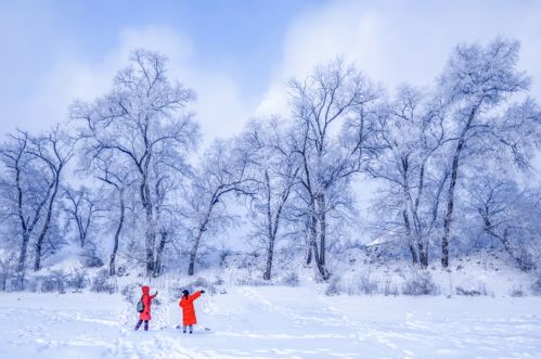 今日大雪