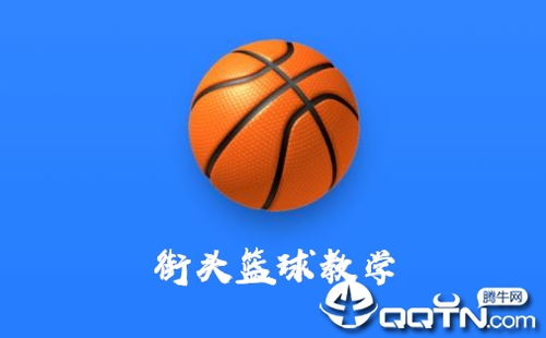 街头篮球教学app下载 街头篮球教学v1.0.0 安卓版 腾牛安卓网 