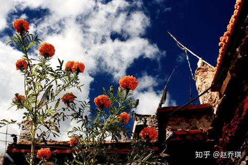 现在这个季节适合去哪些地方旅游 (现在这个季节适合去哪些地方旅游景点)