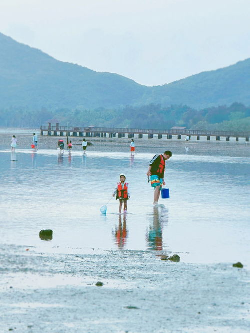 海南陵水赶海攻略,三种方式详解看这里 