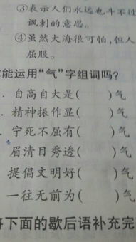 趴字怎么组词(趴组词怎么写)