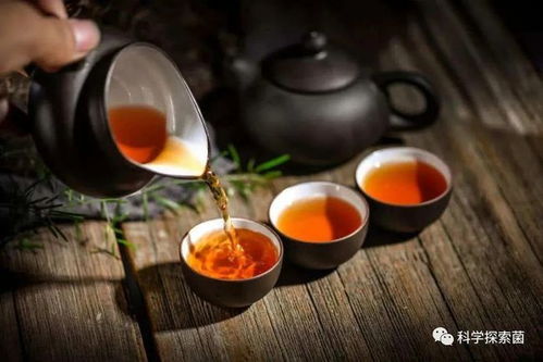 饮茶时,茶叶的第一泡水脏吗 有必要倒掉吗