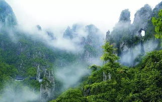 女神节惠民短线游 专属你们的旅行福利,雁荡山一日游, 全年最低价献给你 