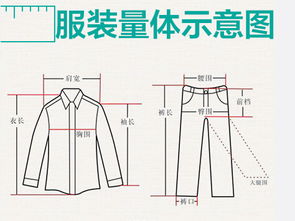 男士量胸围尺寸图解图片