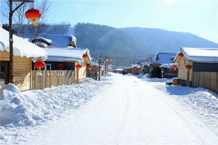 北国 雪 2014圣诞雾凇岛雪乡自驾游图片 