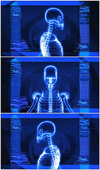 人体骨骼医疗动态视频素材模板 高清MP4格式下载 视频88.50MB 动态 特效 背景 背景视频大全 