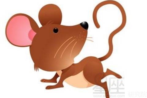 谁是属鼠人命中注定的情人2022(谁是属鼠人命中注定的情人)