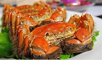 肥硕的大闸蟹,美味,怎么才好吃,有很多吃法