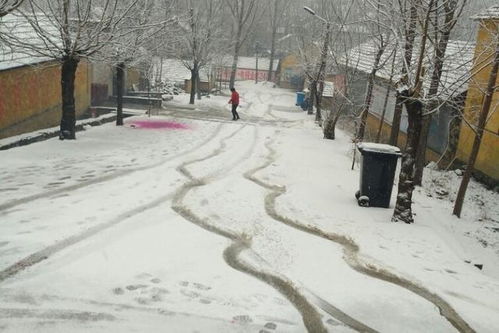 注意 最近有寒潮降雪摩拳擦掌走来,请广大农民做好防寒防冻准备