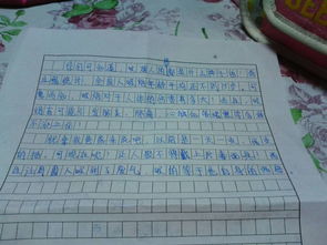 我把幸福告诉你作文500个字