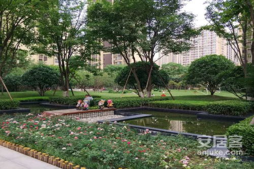 龙湖枫香庭优点 不足,龙湖枫香庭怎么样,龙湖枫香庭周边房产中介经纪人评价 