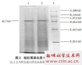 碱提酸沉法提取槐花米芦丁毕业论文