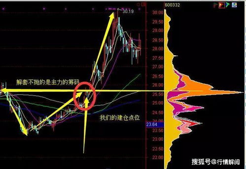 请股票高手们帮忙一下？如何从筹码中看持仓量？哪个软件可以看？