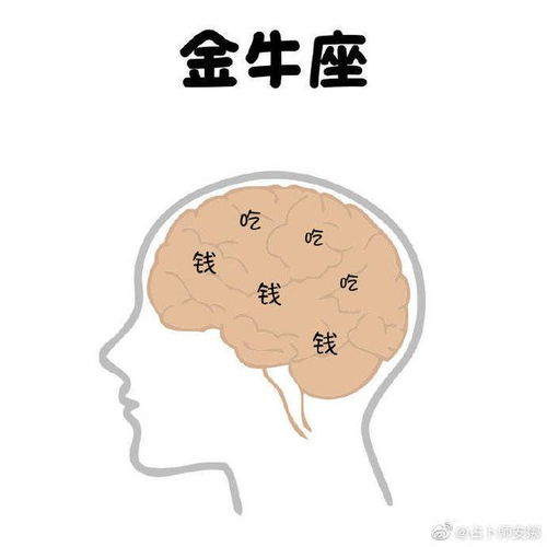 十二星座的脑子都在想什么 