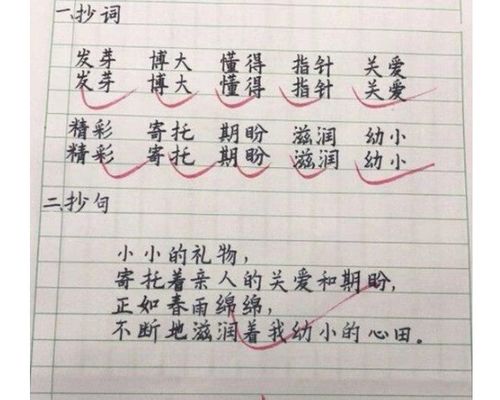 老师晒小学二年级 学霸 试卷,字迹工整干净利落,家长赞不绝口