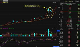 老师:重庆港九这支股票2016年下半年如何