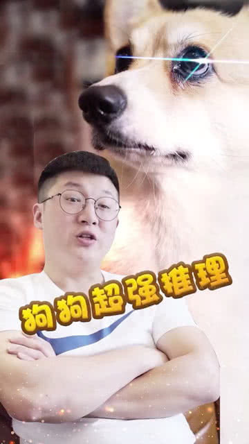 狗狗界的福尔摩斯 