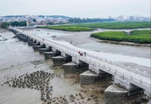 宋朝建了中国第一座跨海大桥,桥墩用一种动物加固,至今屹立不倒
