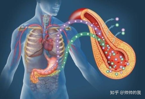 空腹血糖5.6可以怀孕吗