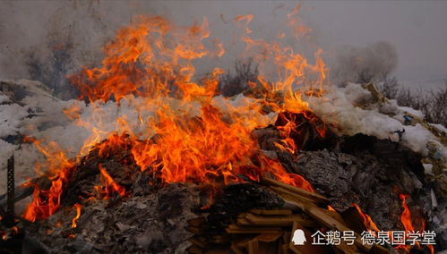 增广贤文 里的古代名言警句 自恨枝无叶,莫怨太阳偏