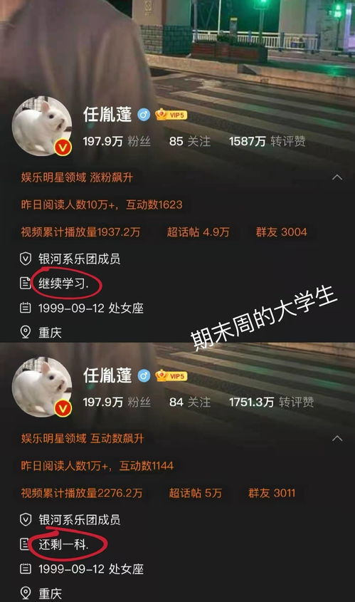 个人简介原来还可以这么玩 简直就是生活碎片的记录