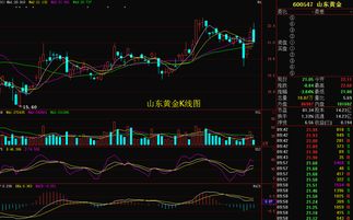 600547山东黄金的股票怎么样后市如何