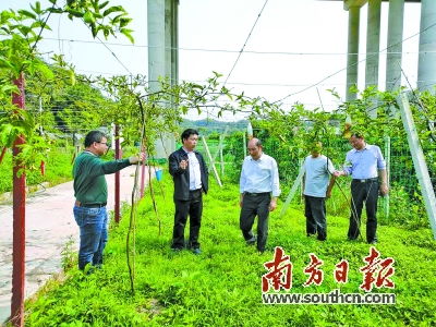 广东梅州丰顺河輋农场