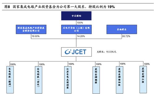 查重松的功能特点全解析