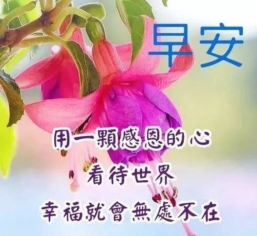 腊月微信最美早上好问候图片带祝福语,早安正能量问候图片温馨带字