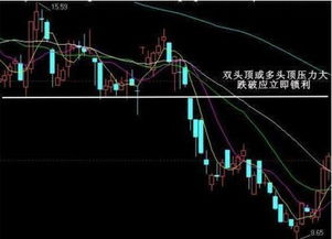 600795的走势如何发展？6.10元买进的,该何时卖出?