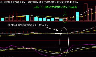 炒股天才盈利多年,只因领悟了短线选股五大原则 