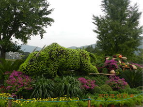 北京植物园哪个停车场收费低(北京植物园东门免费停车场)