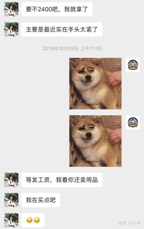 购买柴犬如何防骗 怎么样识别黑心犬舍 