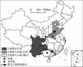 14岁被拐少女6年生3子的悲剧,背后不止是生活的不堪 