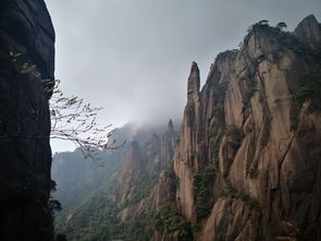 婺源三清山庐山12日自驾游攻略