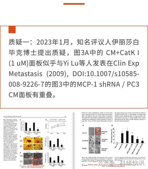 科技论文用什么图纸查重