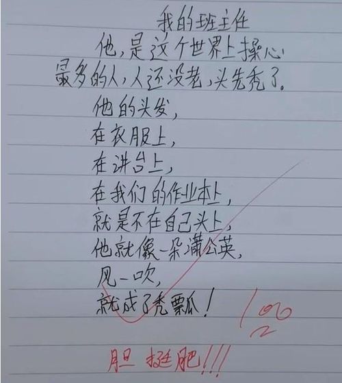 小学生搞笑作文, 老师头发像蒲公英,风一吹就没了 ,笑坏网友