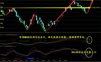 4.10周评,沥青下周走势分析及操作建议附空单解套 